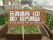环境展示五