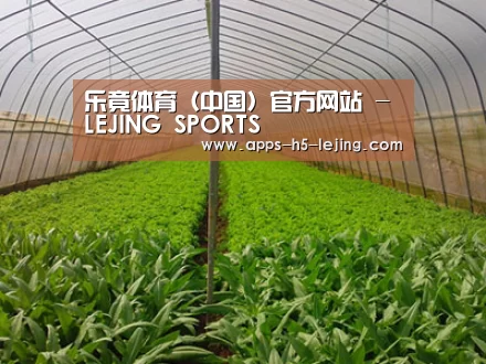 种植基地四