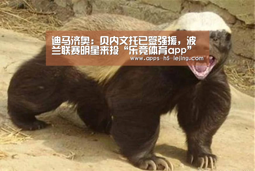 迪马济奥:贝内文托已签强援,波兰联赛明星来投“乐竞体育app”(图3) 乐竞体育