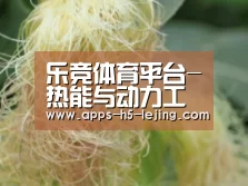 乐竞体育平台