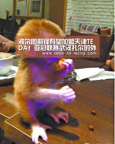 波尔图前锋有望加盟天津TEDA!亚冠联赛武汉扎尔的外援:乐竞体育平台(图3) 乐竞体育平台