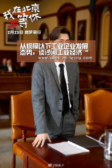 从规模以下工业企业发展态势,谈沙河工业经济“乐竞体育”(图4) 乐竞体育