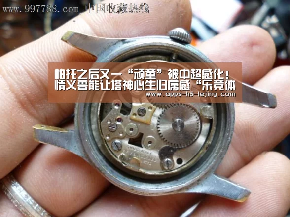 帕托之后又一“顽童”被中超感化!情义鲁能让塔神心生归属感“乐竞体育”(图3) 乐竞体育