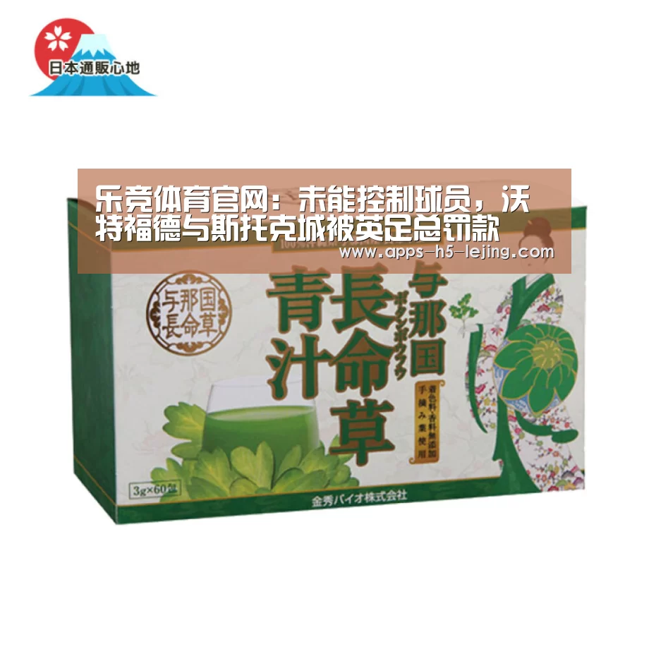乐竞体育官网:未能控制球员,沃特福德与斯托克城被英足总罚款(图3) 乐竞体育官网