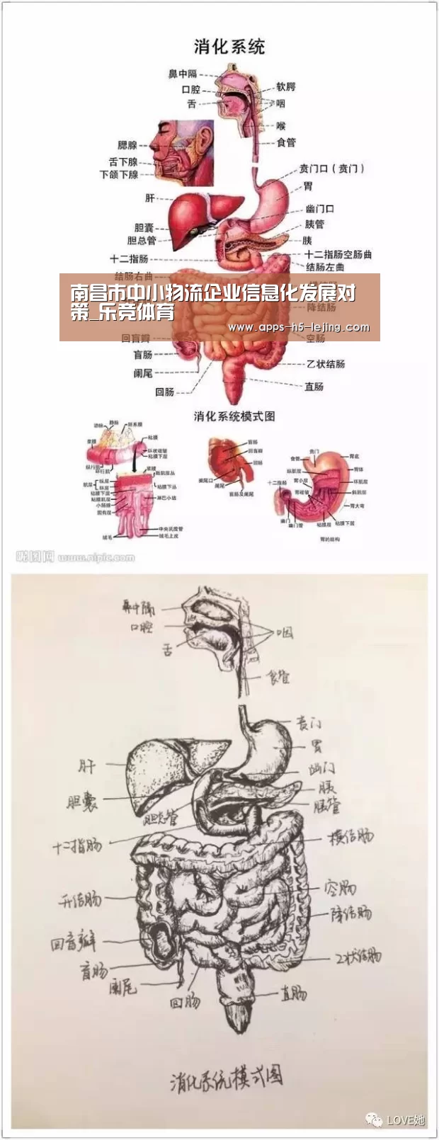 乐竞体育